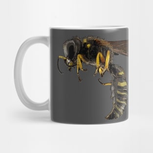 Wasp Mug